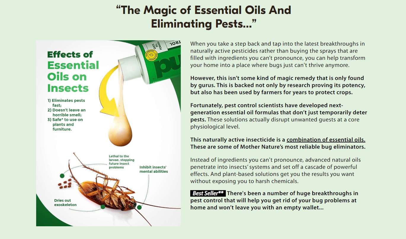 advertorial strategies 2024