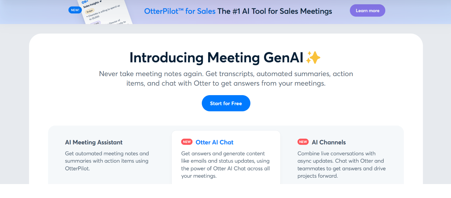 top-ai-products-otter.a