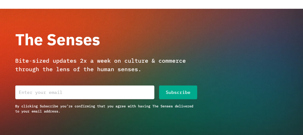 top ecommerce newsletters the senses