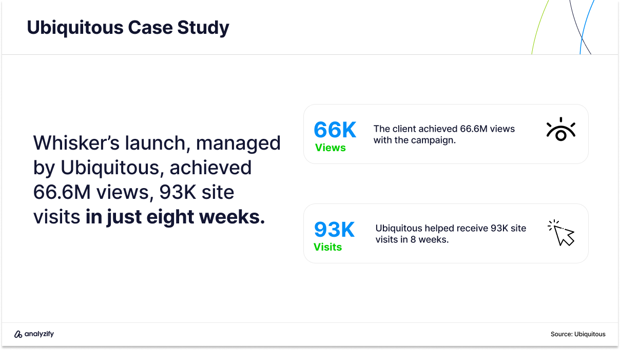 best influencer marketing agencies in the us Ubiquitous case with whiskers