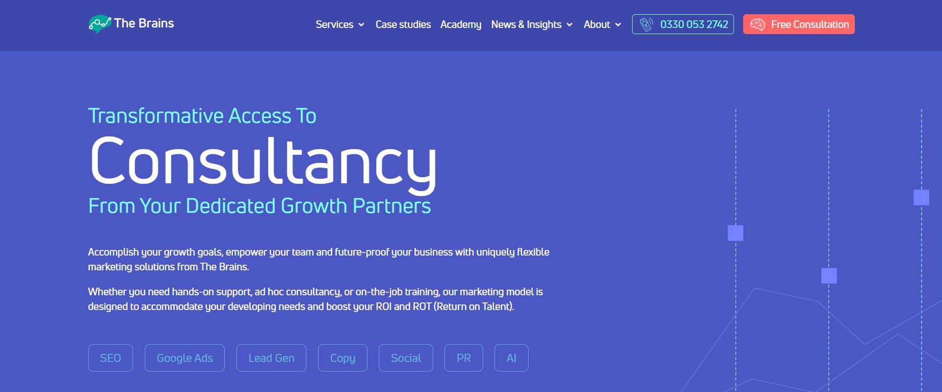 The Brains Google Ads Agency
