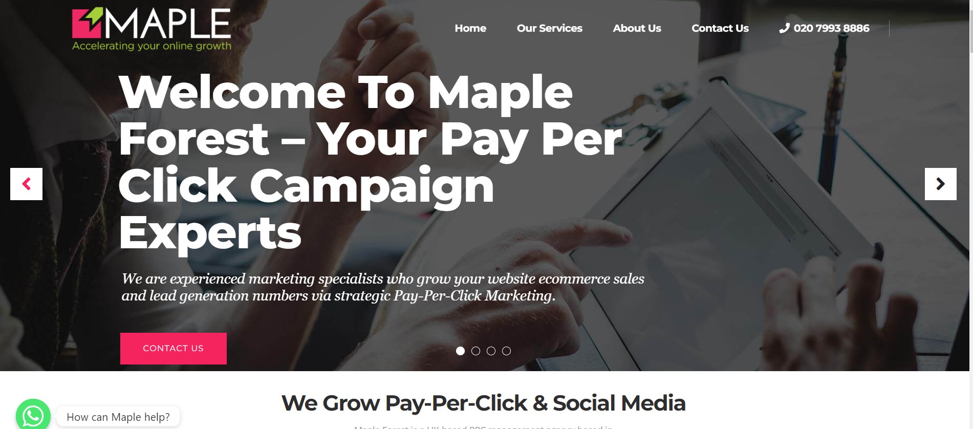 Maple Forest PPC Agency London