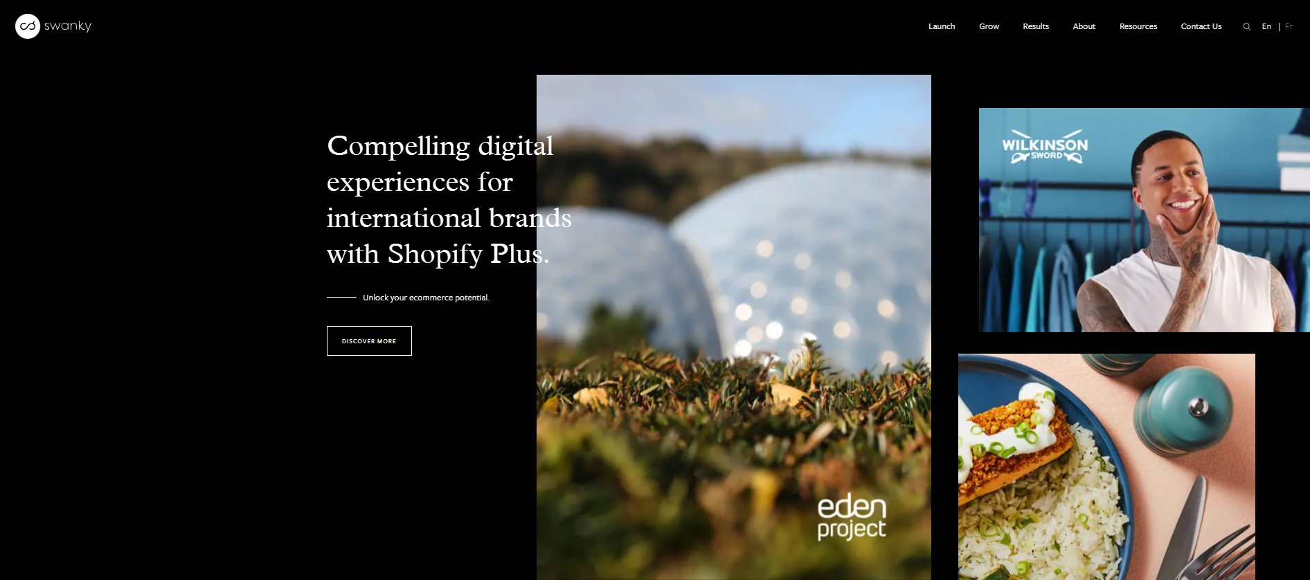 Swanky Shopify Plus Agency Overview