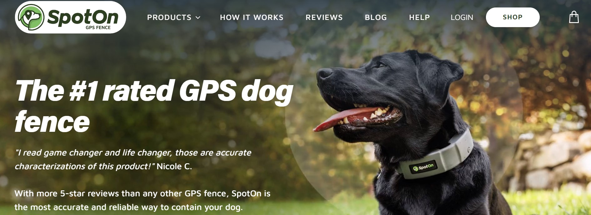 Trending Pet Products 2024