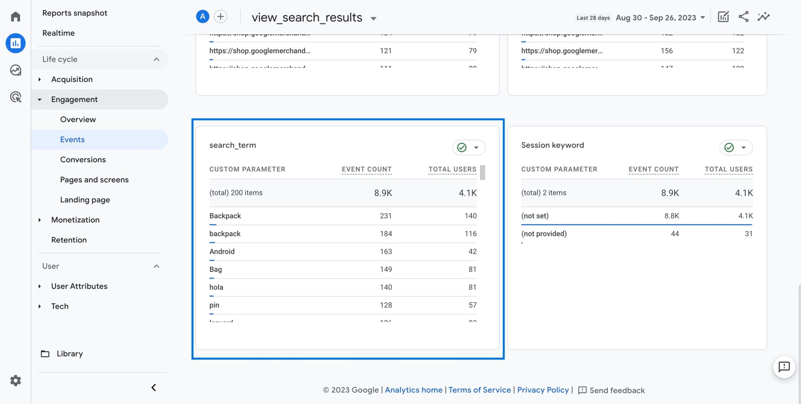 Search Term Results - GA4