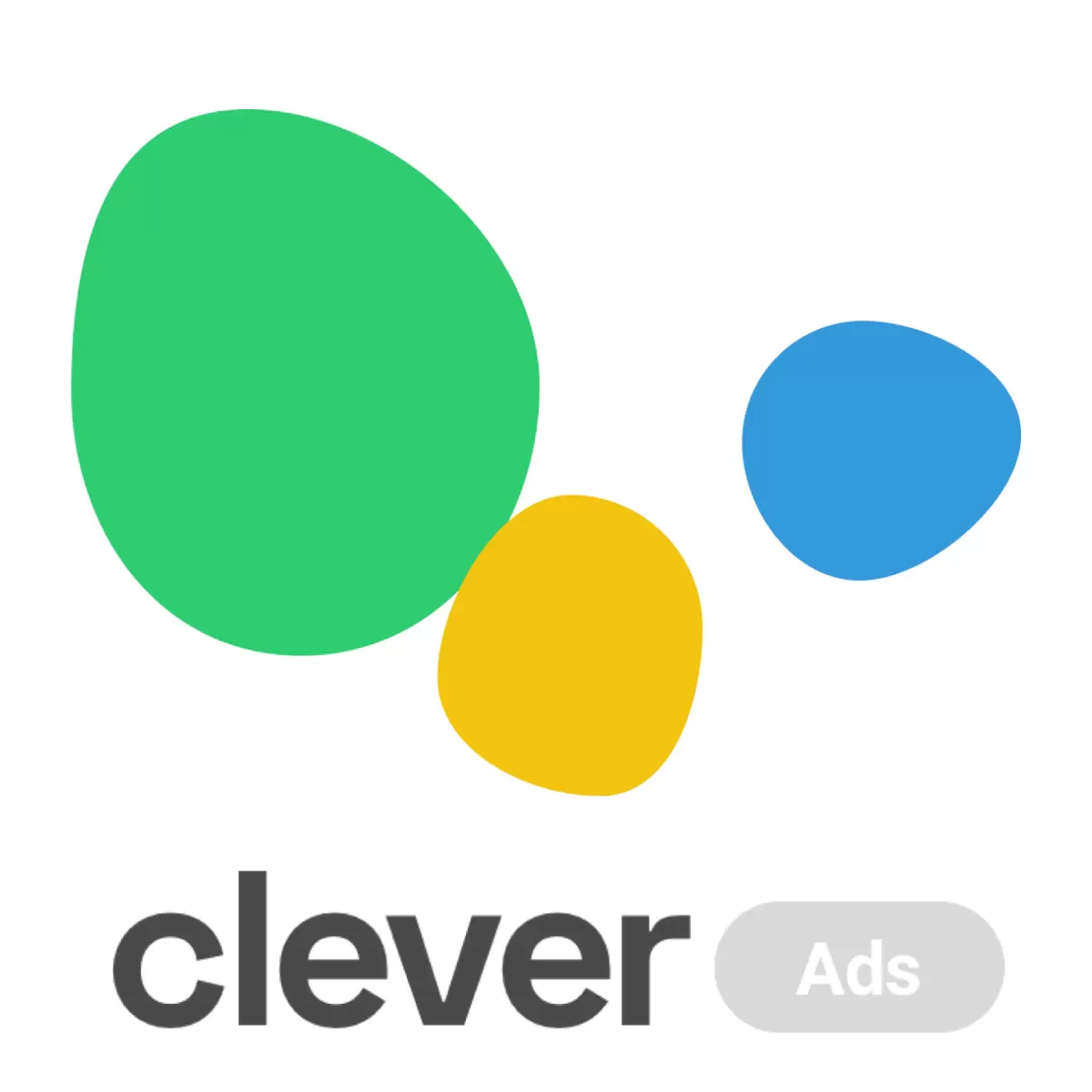CA: Google Ads & Performance Max