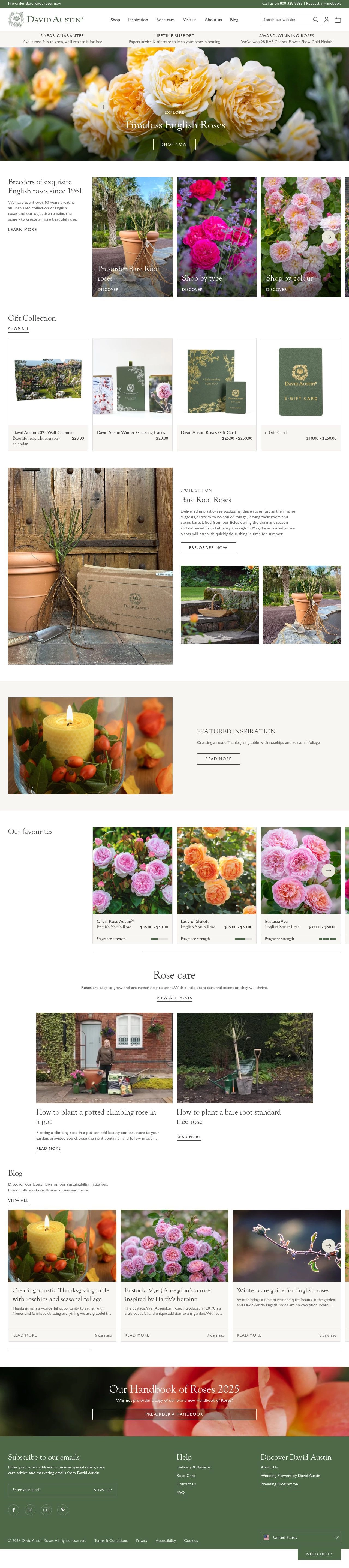 David Austin Roses