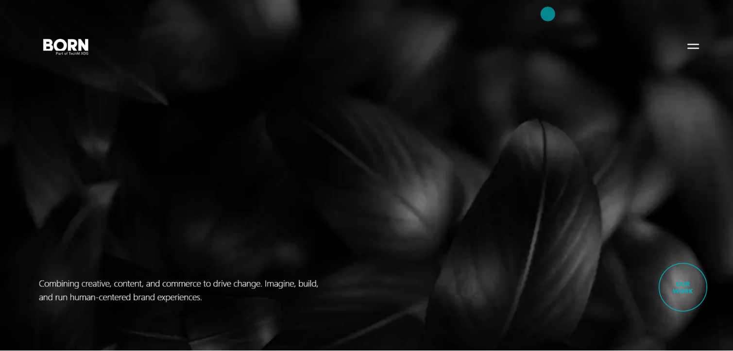 shopify-plus-agencies-born-hp