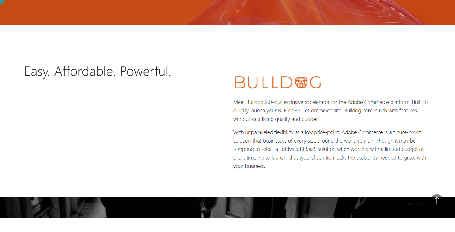shopify-plus-agencies-born-case