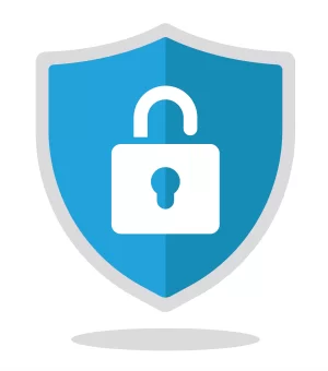 GDPR  icon