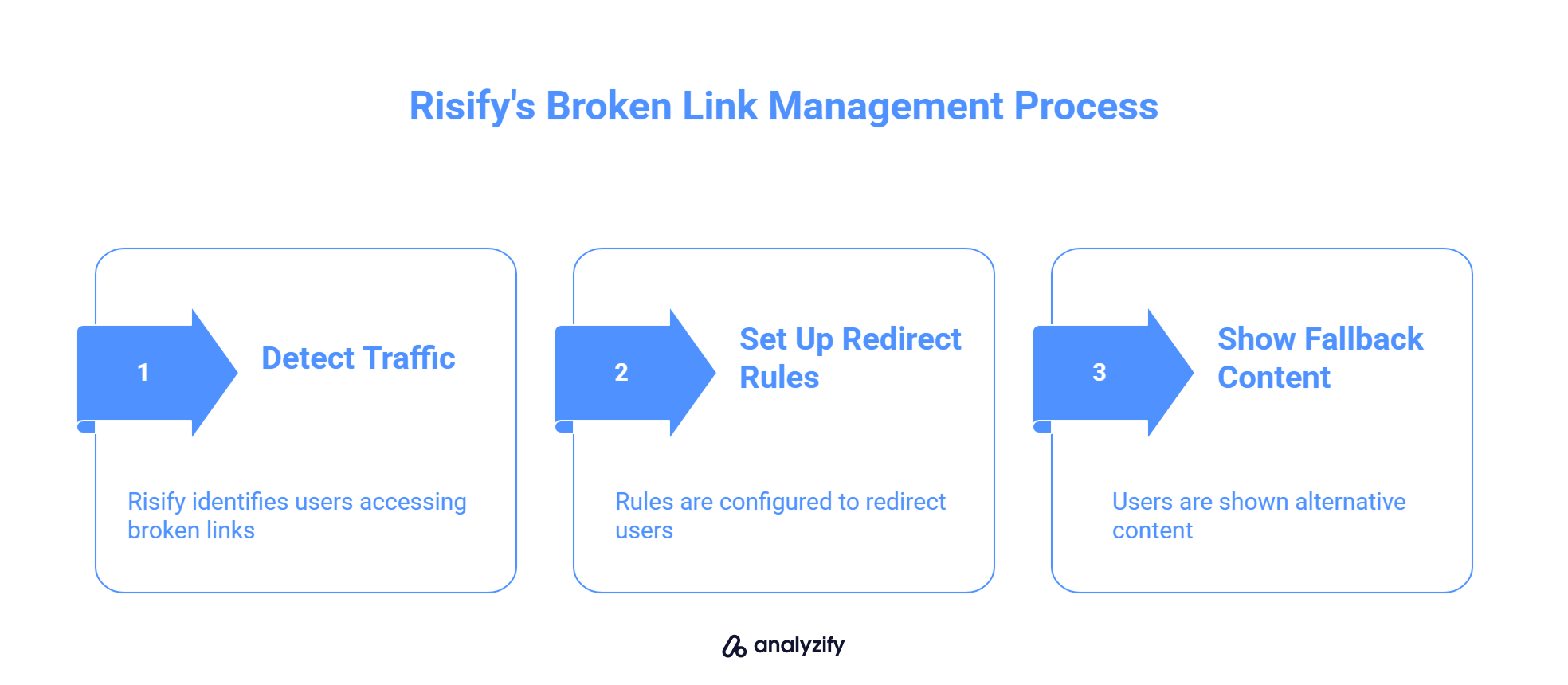 Risify's Broken Link Management Process